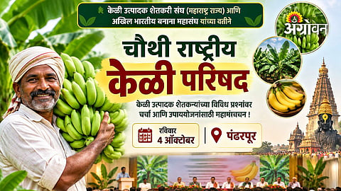 Banana agriculture conference in Pandharpur