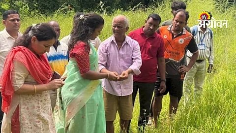 Paddy Crop Survey
