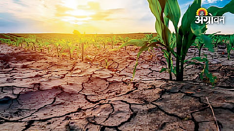 El Nino and public health risks