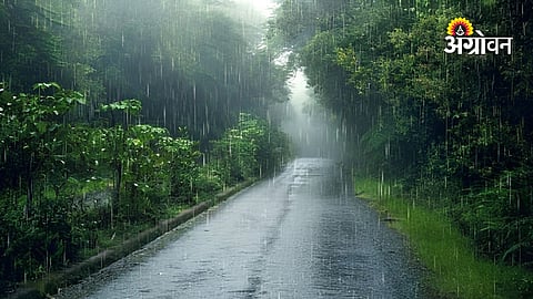 Maharashtra monsoon weather update