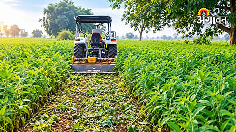 Rotavator use after soybean harvest