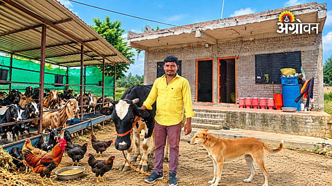 Dairy farming success story in Chhatrapati Sambhajinagar