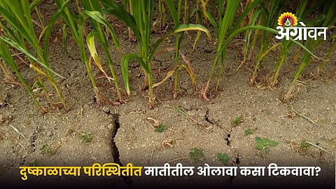 Soil moisture management for rabi crops