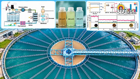 Wastewater treatment technology for ammonia removal