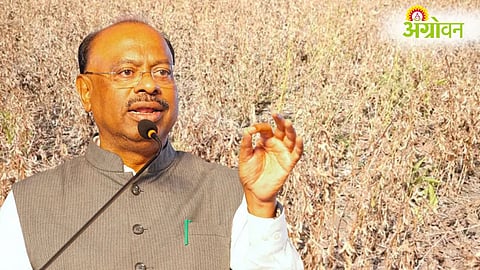 Maharashtra Drought Relief