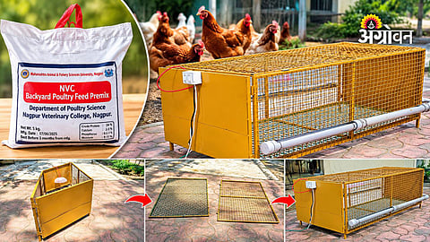 Low cost poultry farming technology