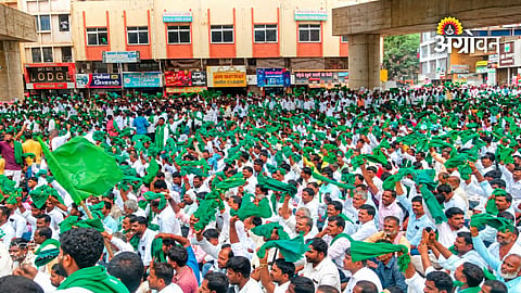 Sugarcane farmers protest against sugar pricing