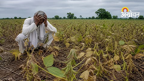 Farmers Protest