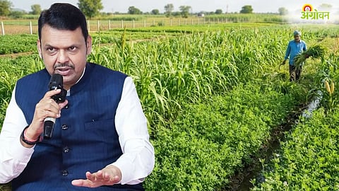 Maharashtra Cabinet Decision
