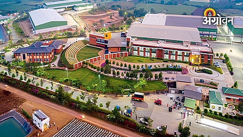 Sahyadri Farmers Producer Company business growth