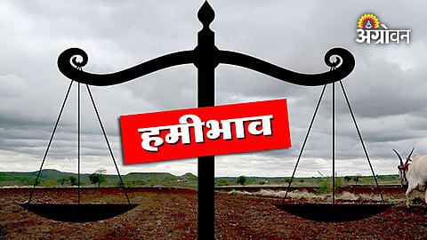 Minimum support price for Rabi crops 2027-28
