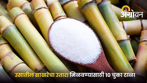 Tips For Better Sugar Recovery