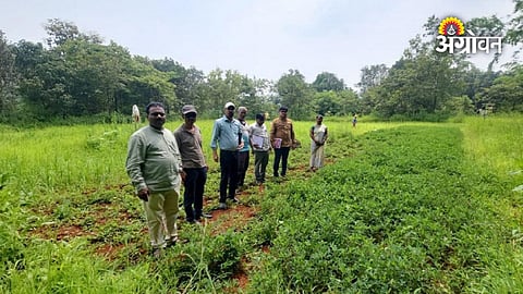 Tehsildar panchanama orders Maharashtra