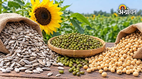 Kharif 2026-27 crop procurement Karnataka