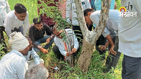 Nursery Management Training
