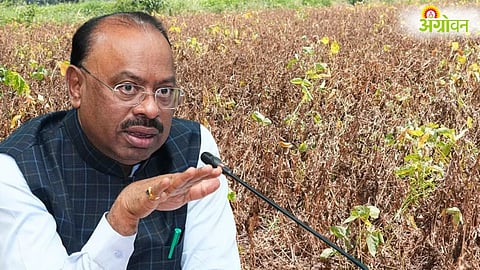 Maharashtra Drought, Crop Damage Panchnama