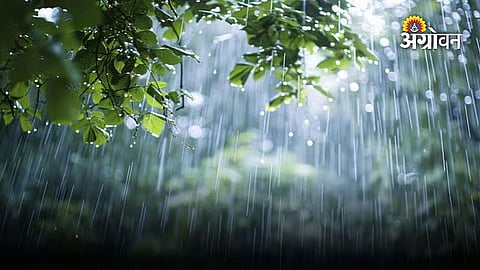 Rain Forecast