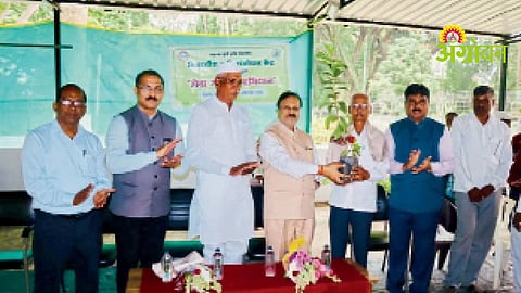 Fruit Sapling Distribution