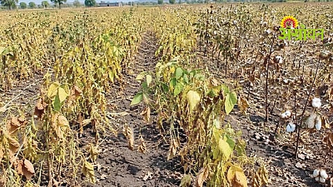 Maharashtra Drought Relief Issue