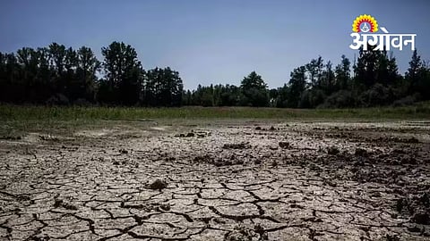 Drought Conditions In Parbhani, Hingoli