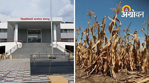 Solapur Officials Told To Record Actual Crop Loss In Every Field