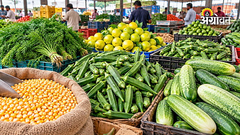 Maharashtra Farmers Market Price Update Today