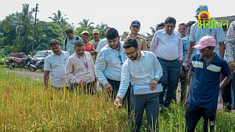 Rice Farming Crisis
