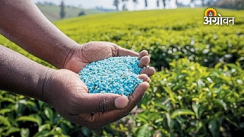 Fake pesticide business and agricultural fraud in India
