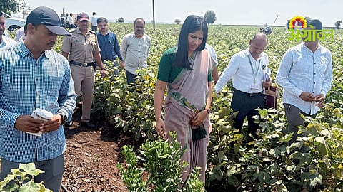 Crop Damage Surveys