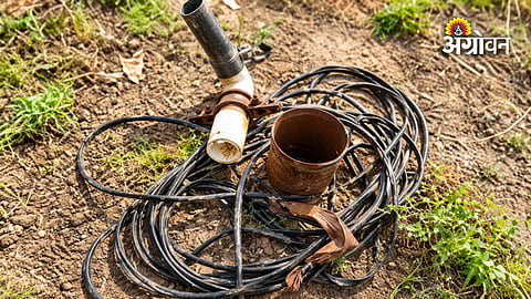 Farmers facing losses due to cable theft