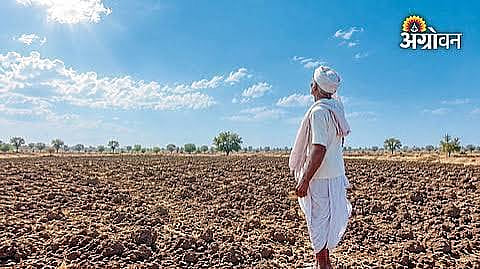 Government drought assistance for Maharashtra farmers
