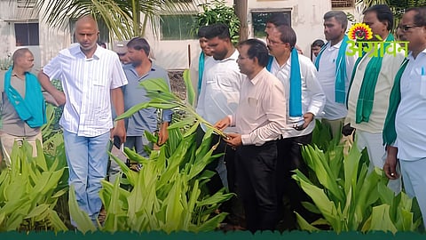 Turmeric Farmers Study Tou
