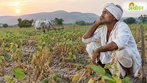 Farm Loan Waiver