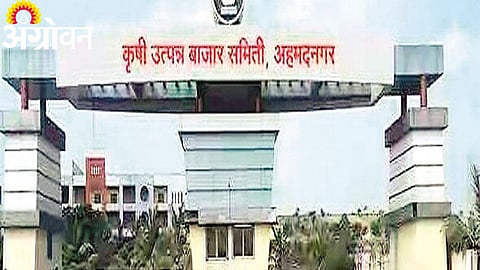 Ahilyanagar Vegetable Market