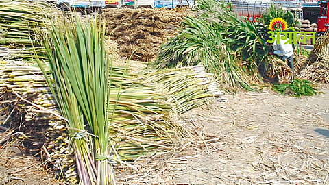 Water Shortage Management