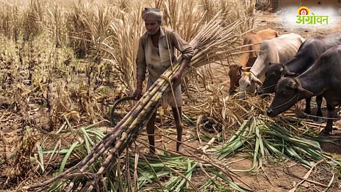 Latur Drought