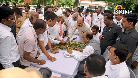 soybean crop damage in Maharashtra