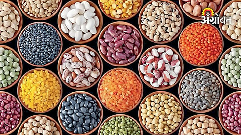 Government plans to reduce pulse import tariffs