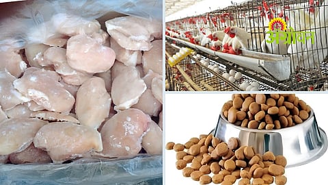 Poultry Processing By Products