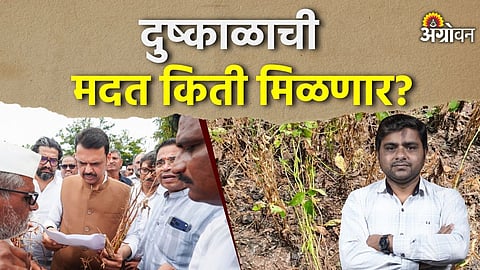 Crop damage relief under NDRF norms Maharashtra
