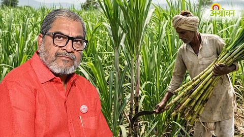 Sugarcane FRP