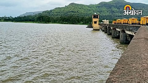 Rabi farming water planning in Maharashtra