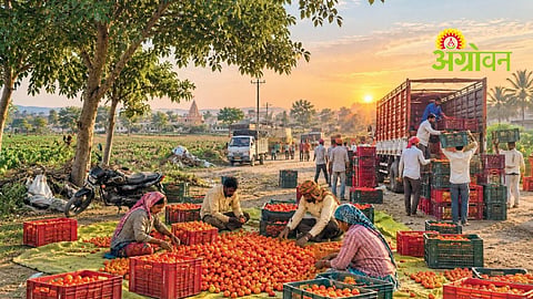 Village Prosperity Story