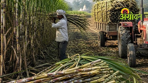 Farmers Demand