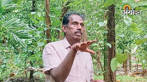 Importance of soil conservation in agriculture
