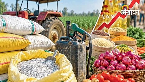 Agricultural input price inflation in India