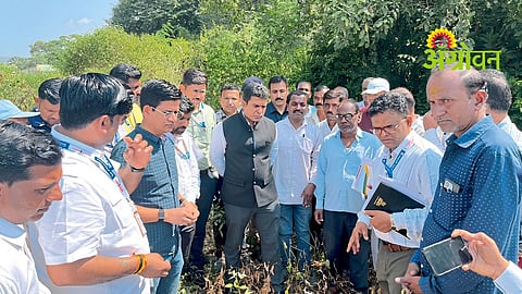Crop Damage Inspection