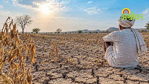 Crop Insurance Compensation