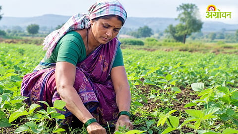 Women Farmer Certificate Registration