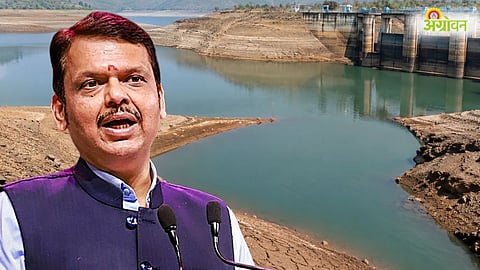 Maharashtra Water Cut